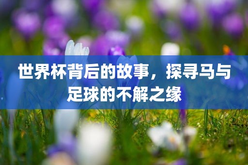世界杯背后的故事，探寻马与足球的不解之缘洪湖市顺升工程机械租赁有限公司