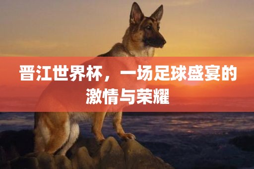 晋江世界杯，一场足球盛宴的激情与荣耀洪湖市顺升工程机械租赁有限公司