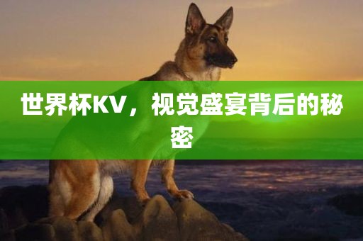 世界杯KV，视觉盛宴背后的秘密洪湖市顺升工程机械租赁有限公司