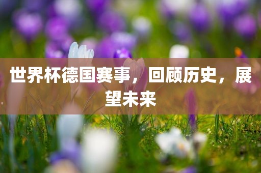 世界杯德国赛事，回顾历史，展望未来洪湖市顺升工程机械租赁有限公司