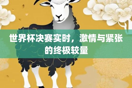 世界杯决赛实时，激情与紧张的终极较量洪湖市顺升工程机械租赁有限公司