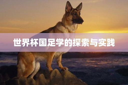 世界杯国足学的探索与实践
