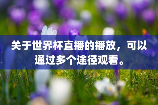 关于世界杯直播的播放，可以通过多个途径观看。