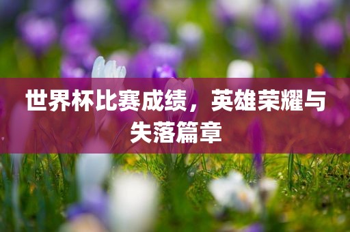 世界杯比赛成绩，英雄荣耀与失落篇洪湖市顺升工程机械租赁有限公司章