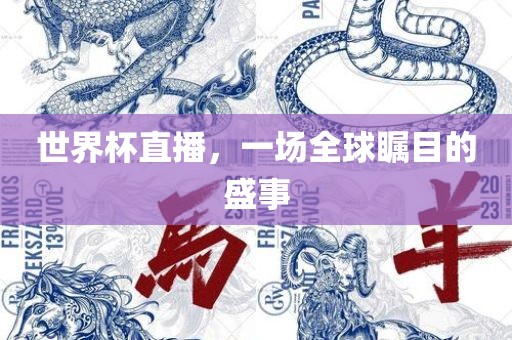 世界杯直播，一场全球瞩目的盛事洪湖市顺升工程机械租赁有限公司