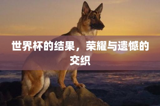 世界杯的结果，荣耀与遗憾的交织