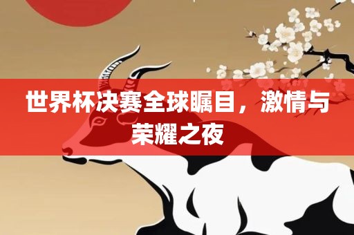世界杯决赛全球瞩目，激情与荣耀之夜洪湖市顺升工程机械租赁有限公司