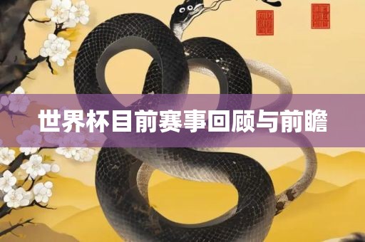 世界杯目前赛事回顾与前瞻