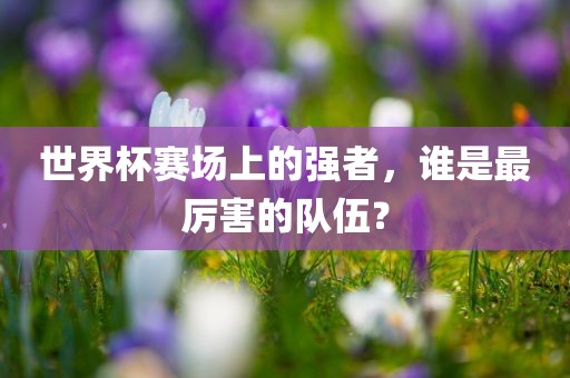 世界杯赛场上的强者，谁是最厉害的队伍？洪湖市顺升工程机械租赁有限公司