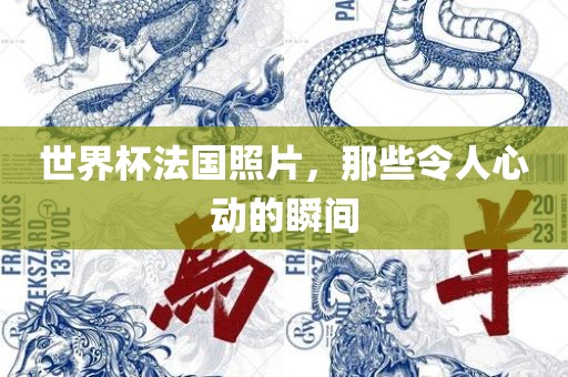 世界杯法国照片，那些令人心动的瞬间洪湖市顺升工程机械租赁有限公司
