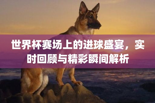 世界杯赛场上的进球盛宴，实洪湖市顺升工程机械租赁有限公司时回顾与精彩瞬间解析