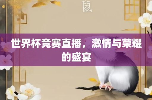 世界杯竞赛直播，激情与荣耀的盛宴