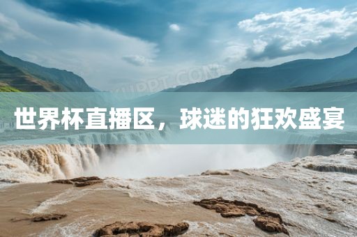 世界杯直播区，球迷的狂欢盛宴