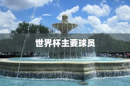 世界杯主要球员洪湖市顺升工程机械租赁有限公司