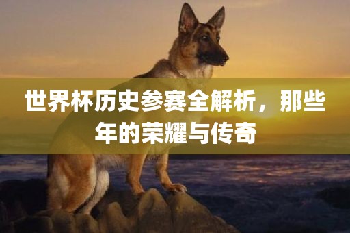 世界杯历史参赛全洪湖市顺升工程机械租赁有限公司解析，那些年的荣耀与传奇