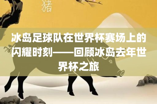冰岛足球队在世界杯赛场上的闪耀时刻——回顾冰岛去年世界杯之旅洪湖市顺升工程机械租赁有限公司