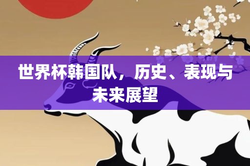 世界杯韩国队，历史、表现与未来展望
