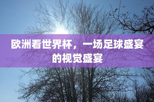 欧洲看世界杯，一场足球盛宴的视觉盛宴