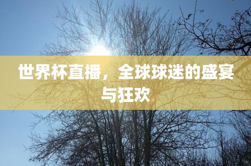 世界杯直播，全球球迷的盛宴与狂欢洪湖市顺升工程机械租赁有限公司