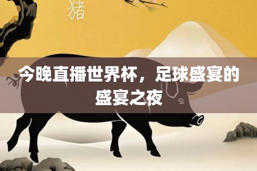 今晚直播世界杯，足球盛宴的盛宴之夜洪湖市顺升工程机械租赁有限公司