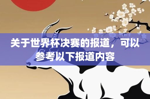 关于世界杯决赛的报道，可以参考以下报道内容洪湖市顺升工程机械租赁有限公司