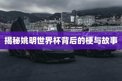 揭秘姚明世界杯背后的梗与故事