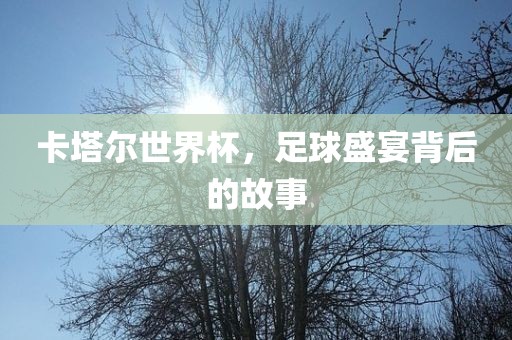 卡塔尔世界杯，足球盛宴背后的故事