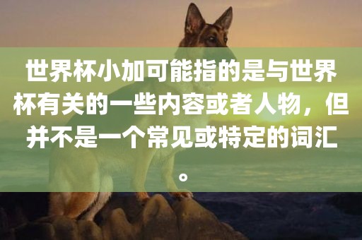 世界杯小加可能指的是与世界杯有关的一些内容或者人物，但并不是一个常见或特定的词汇。洪湖市顺升工程机械租赁有限公司