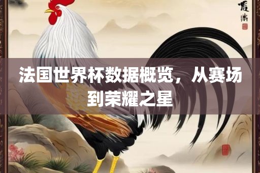 法国世界杯数据概览，从赛场到荣耀之星洪湖市顺升工程机械租赁有限公司