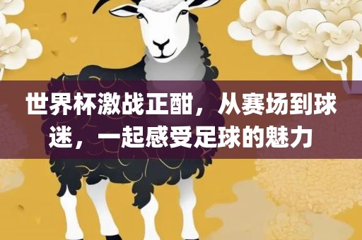 世界洪湖市顺升工程机械租赁有限公司杯激战正酣，从赛场到球迷，一起感受足球的魅力