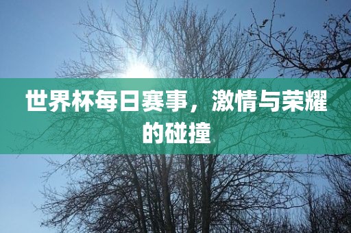 世界杯每日赛事，激情与荣耀的碰撞洪湖市顺升工程机械租赁有限公司