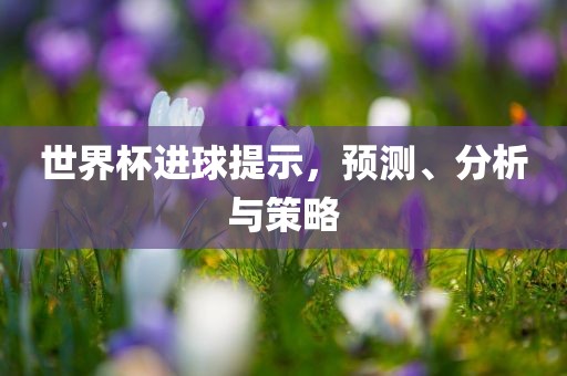 世界杯进球提示，预测、分析与策略