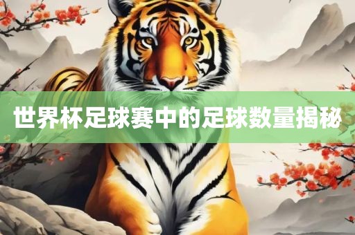 世界杯足球赛中的足球数量揭秘洪湖市顺升工程机械租赁有限公司