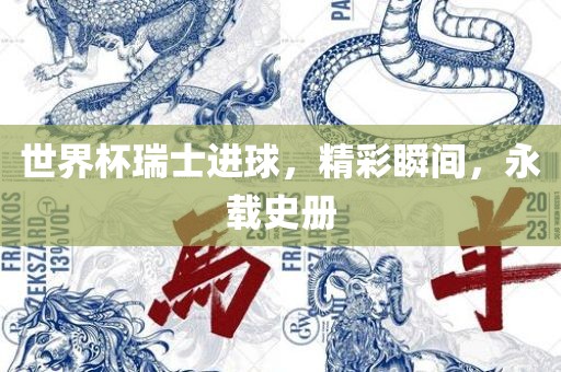 世界杯瑞士进球，精彩瞬间，永载史册洪湖市顺升工程机械租赁有限公司