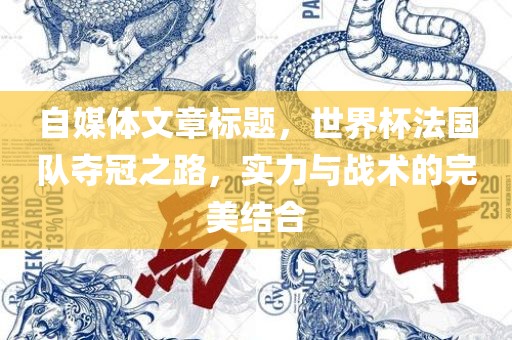 自媒体文章标题，世界杯法国队夺冠之路，实力与战术的完美结合洪湖市顺升工程机械租赁有限公司