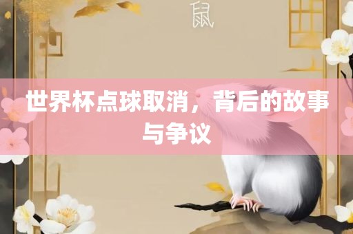 世界杯点球取消，背后的故事与争议洪湖市顺升工程机械租赁有限公司