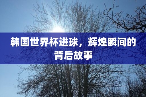 韩国世界杯进球，辉煌瞬间的背后故事
