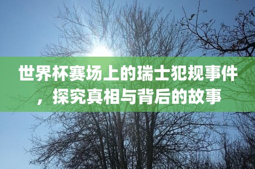 世界杯赛场上的瑞士犯规事件，探究真相与背后的故事洪湖市顺升工程机械租赁有限公司