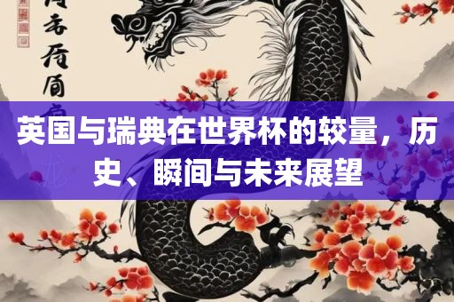 英国与瑞典在世界杯的较量，历史、瞬间与未来展望洪湖市顺升工程机械租赁有限公司