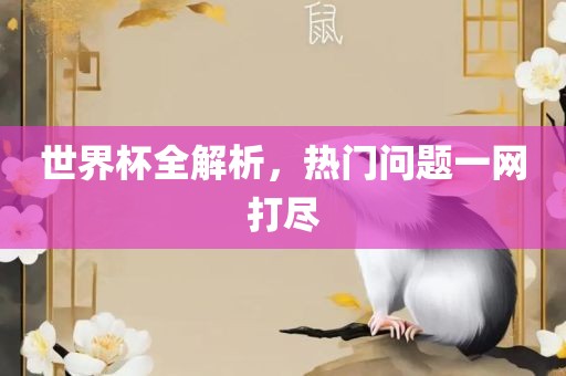 世界杯全解析，热门问题一网打尽洪湖市顺升工程机械租赁有限公司