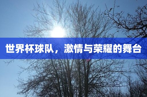 世界杯球队，激情与荣耀的舞台洪湖市顺升工程机械租赁有限公司