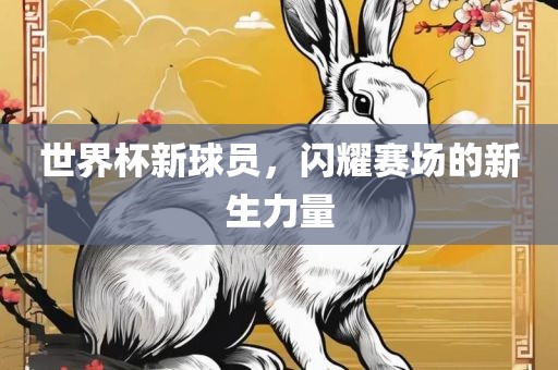 世界杯新球员，闪耀赛场的新生力量洪湖市顺升工程机械租赁有限公司