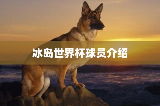 冰岛世界杯球员介绍洪湖市顺升工程机械租赁有限公司