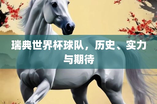 瑞典世界杯球队，历史、实力与期待