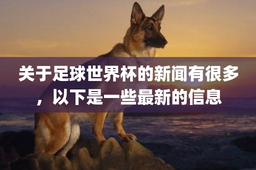 关于足球世界杯的新闻有很多，以下是一些最新的信息