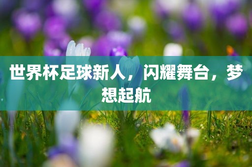 世界杯足球新人，闪耀舞台，梦想起航