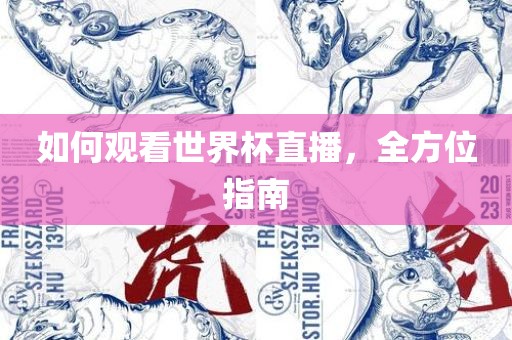 如何观看世界杯直播，全方位指南