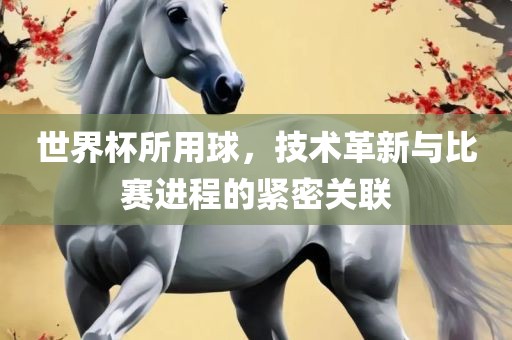 世界杯所用球，技术革新与比赛进程的紧密关联