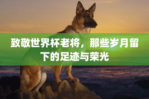 致敬世界杯老将，那些岁月留下的足迹与荣光