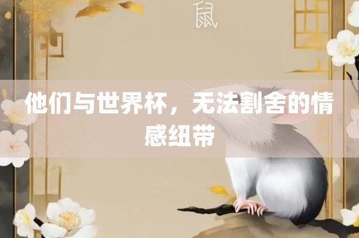 他们与世界杯，无法割舍的情感纽带洪湖市顺升工程机械租赁有限公司